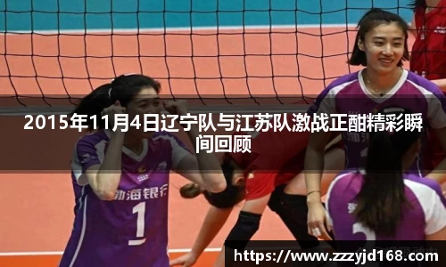 2015年11月4日辽宁队与江苏队激战正酣精彩瞬间回顾